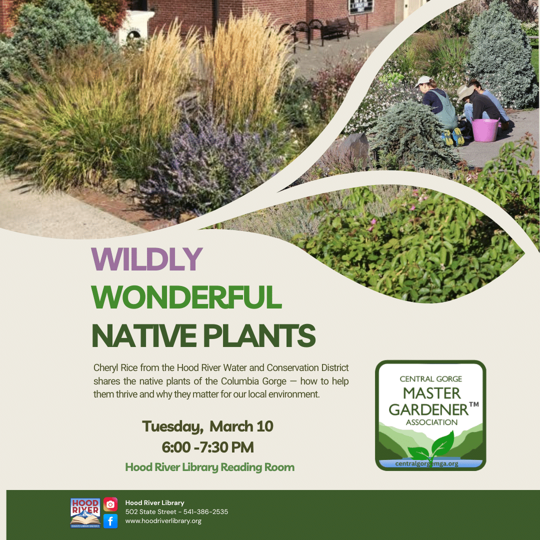 Hood River Library meeting room