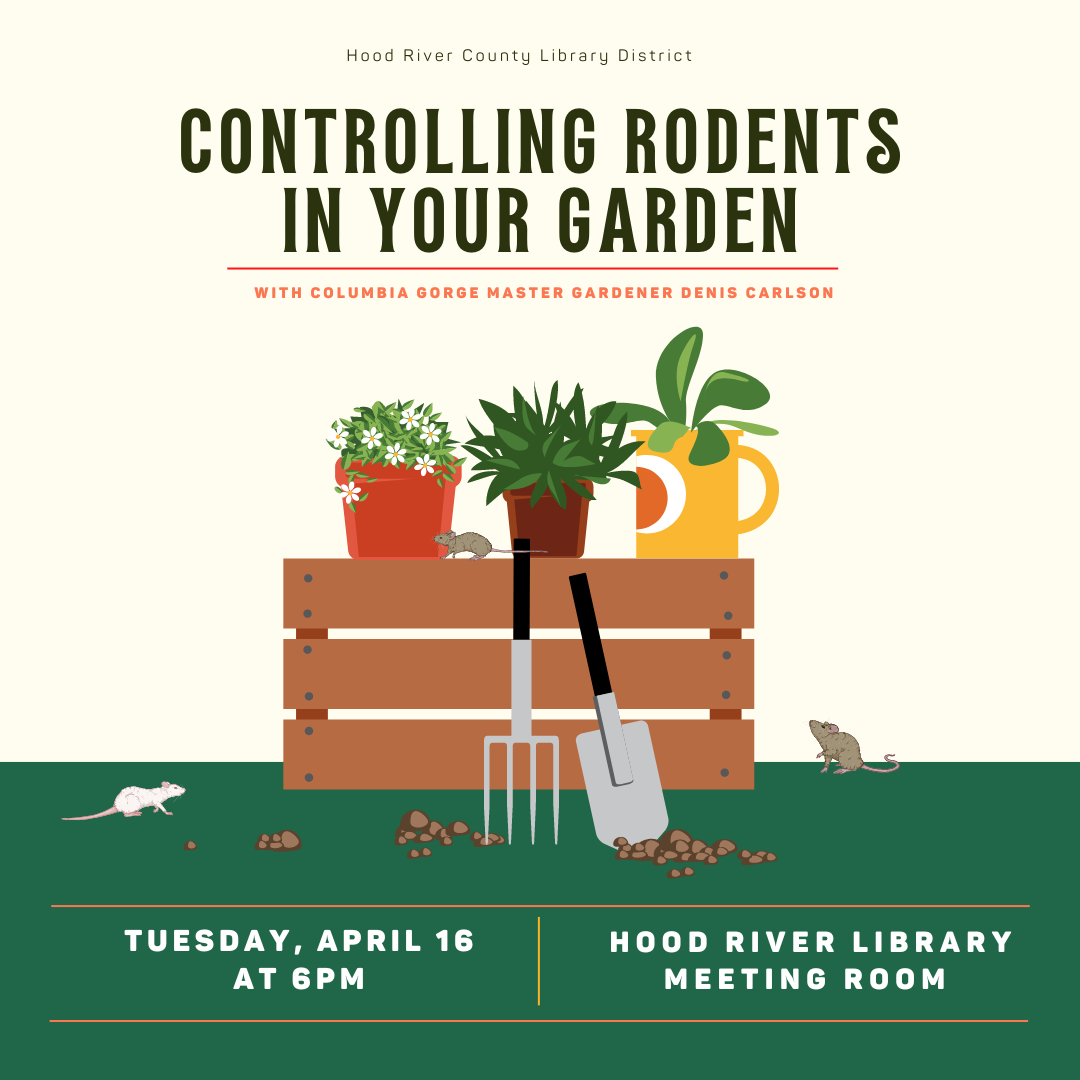 Controlling Rodents in Your Garden 