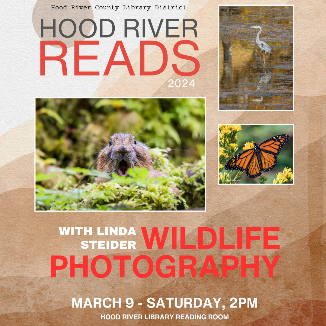 HRR: Wildlife Photography